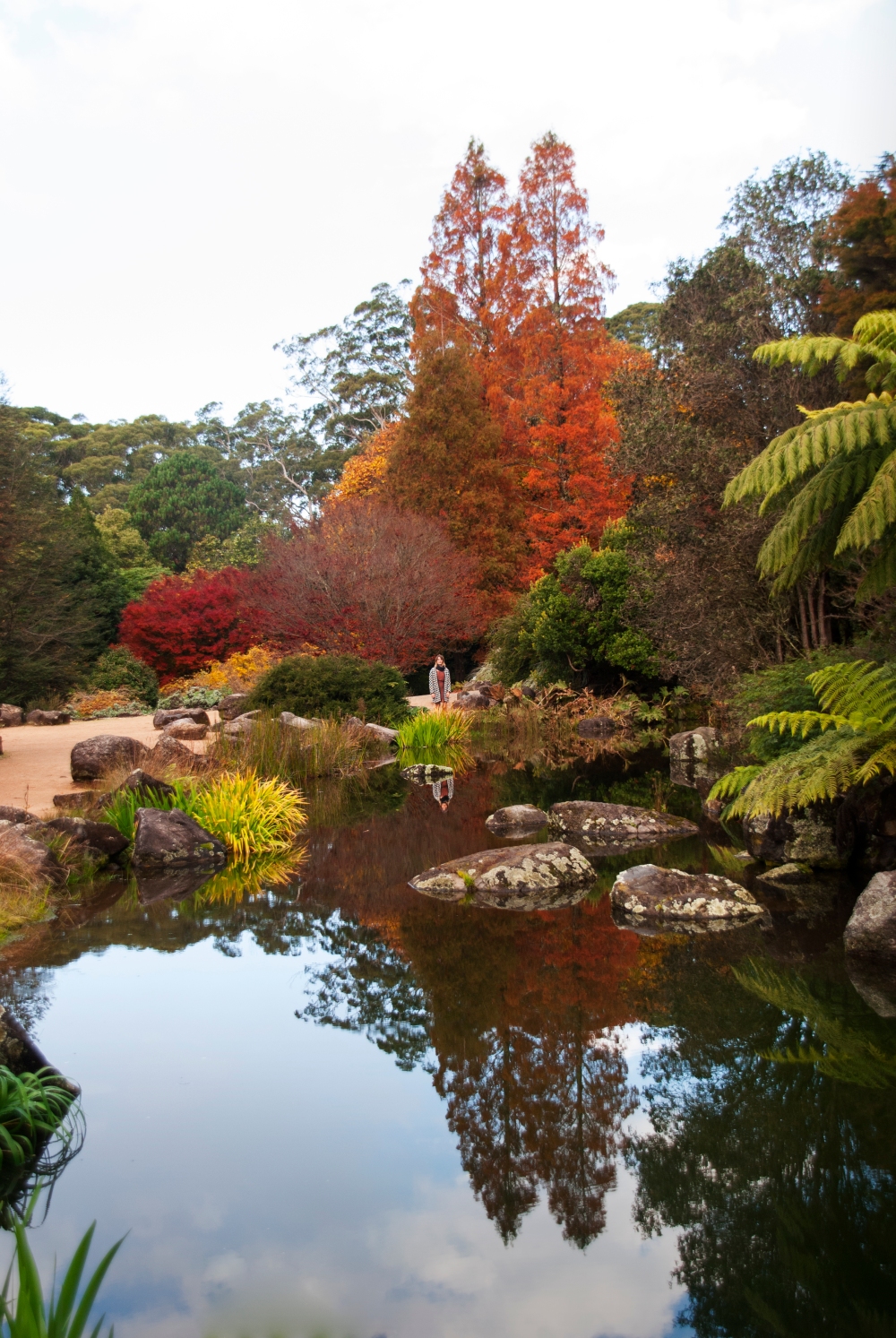 Botanical Gardens reflections